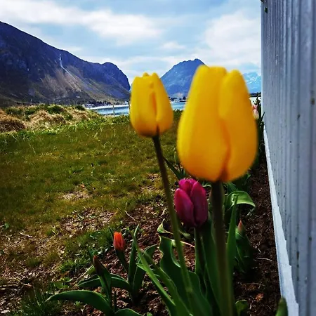 Hytte Banpim Beachside Lofoten *