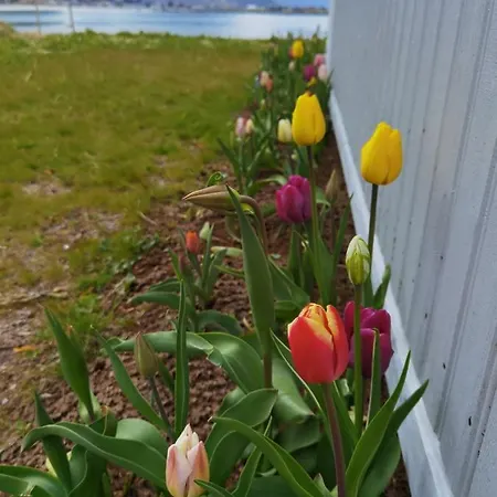 Alojamento de Turismo Selvagem Banpim Beachside Lofoten Ramberg