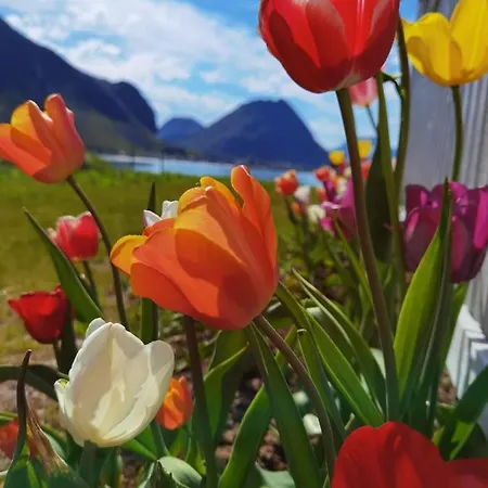 Banpim Beachside Lofoten 람베르그