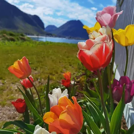 Banpim Beachside Lofoten * Ramberg