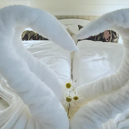 Banpim Beachside Lofoten Lodge