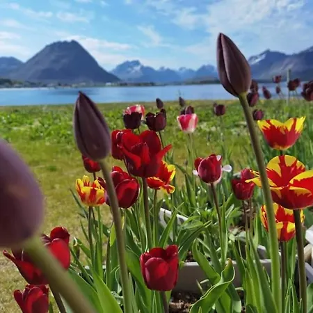 Banpim Beachside Lofoten * Ramberg