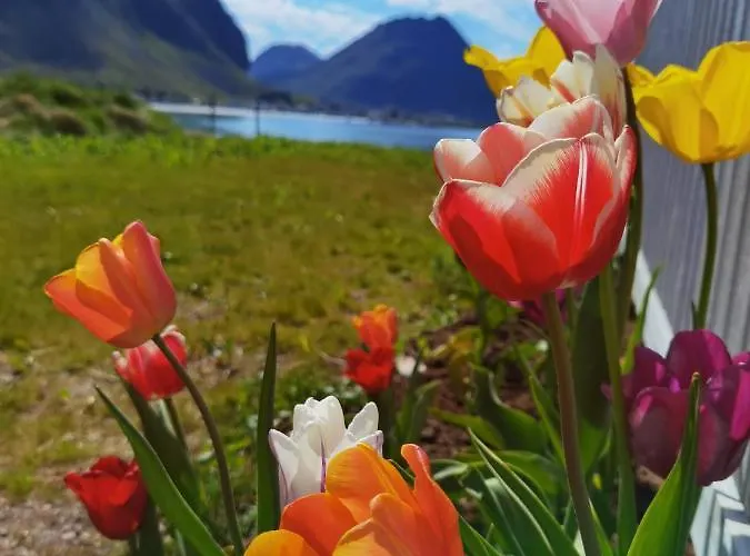 Banpim Beachside Lofoten * Ramberg