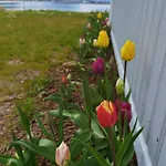 Деревянный коттедж Banpim Beachside Lofoten Рамберг