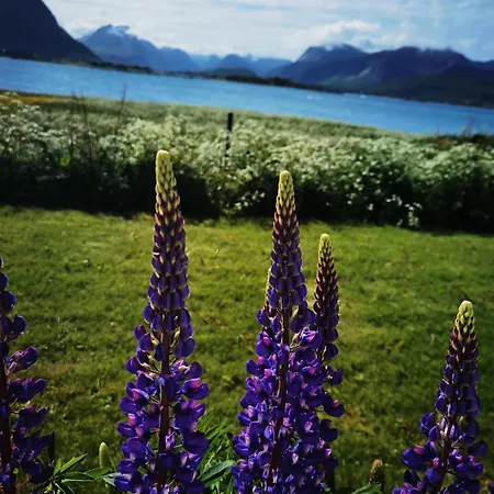 Banpim Beachside Lofoten Ramberg