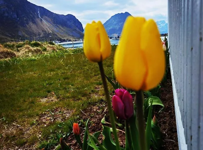 Domek letniskowy Banpim Beachside Lofoten *