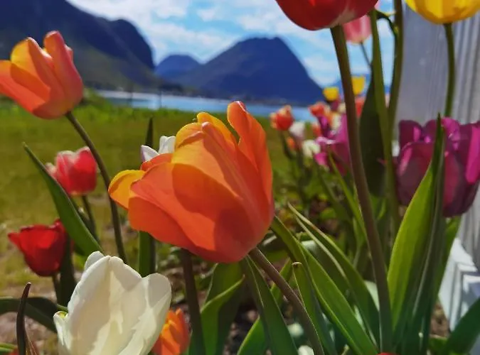Banpim Beachside Lofoten Ramberg