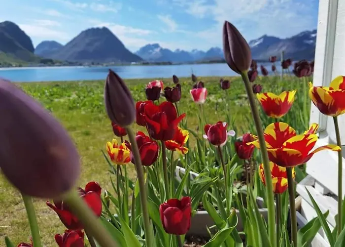 Banpim Beachside Lofoten * Ramberg